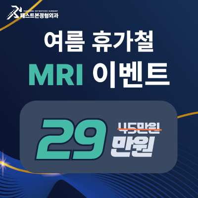 팝업